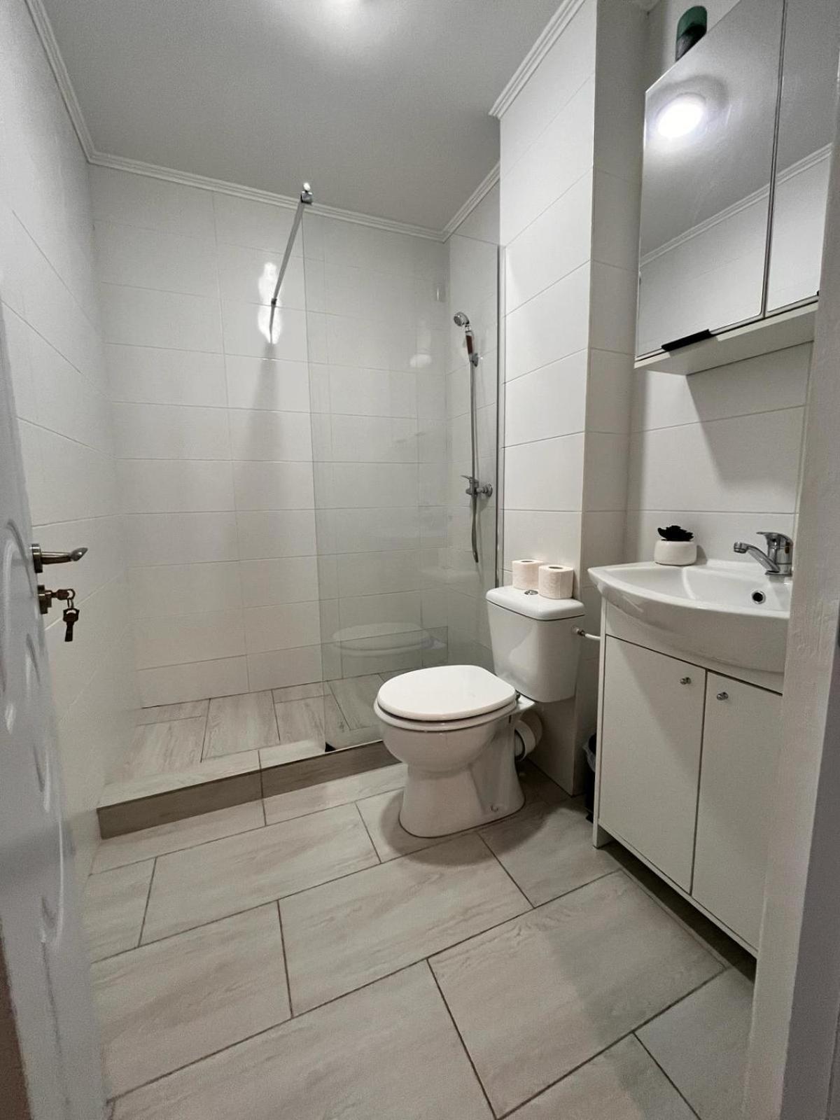 White & Silver Luxury Apartament Craiova Eksteriør bilde